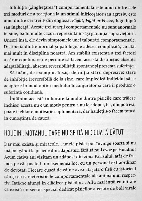 Nebuni dupa pisicile noastre nebune - Claude Beata