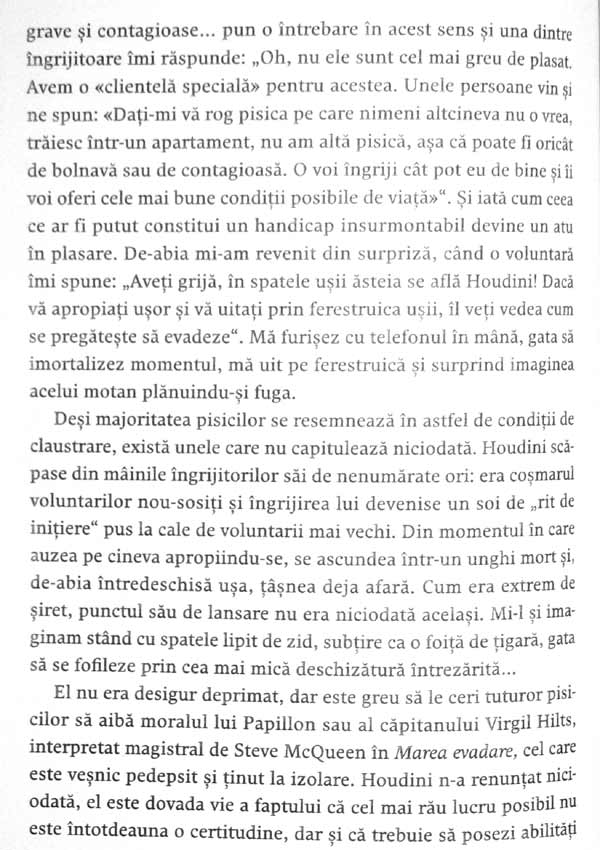 Nebuni dupa pisicile noastre nebune - Claude Beata