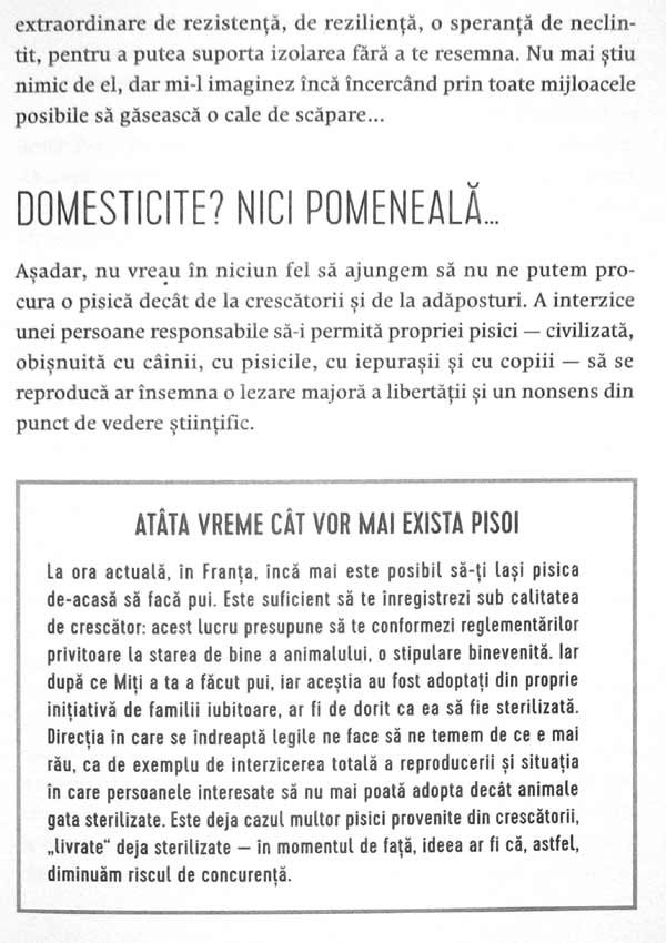 Nebuni dupa pisicile noastre nebune - Claude Beata