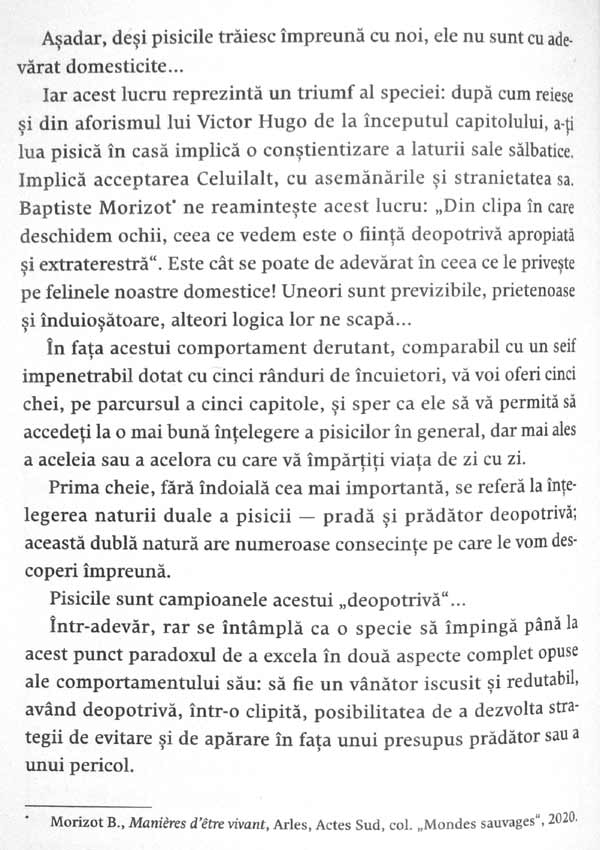 Nebuni dupa pisicile noastre nebune - Claude Beata