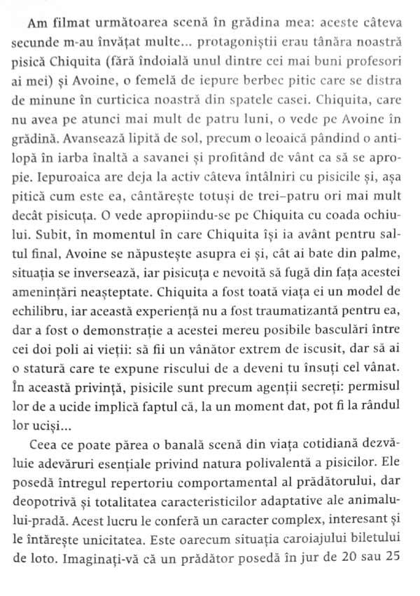 Nebuni dupa pisicile noastre nebune - Claude Beata