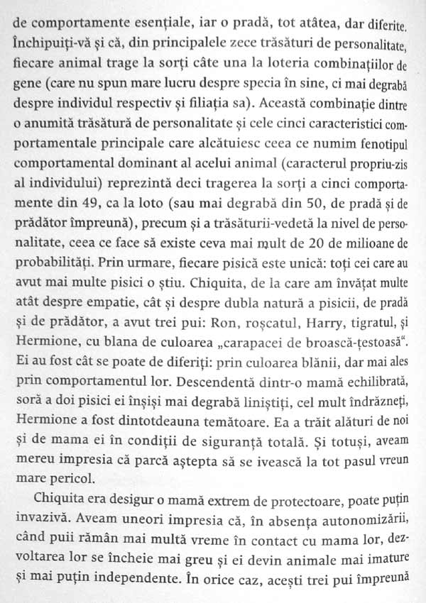 Nebuni dupa pisicile noastre nebune - Claude Beata