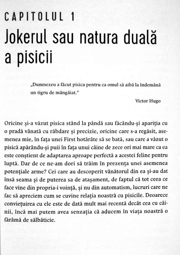 Nebuni dupa pisicile noastre nebune - Claude Beata