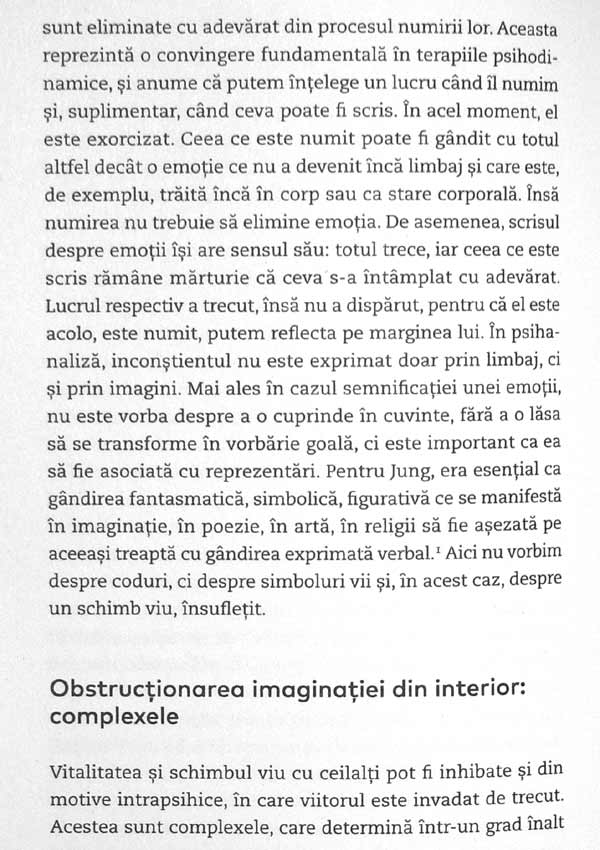 Mai mult timp pentru suflet. Calea spre vitalitate - Verena Kast
