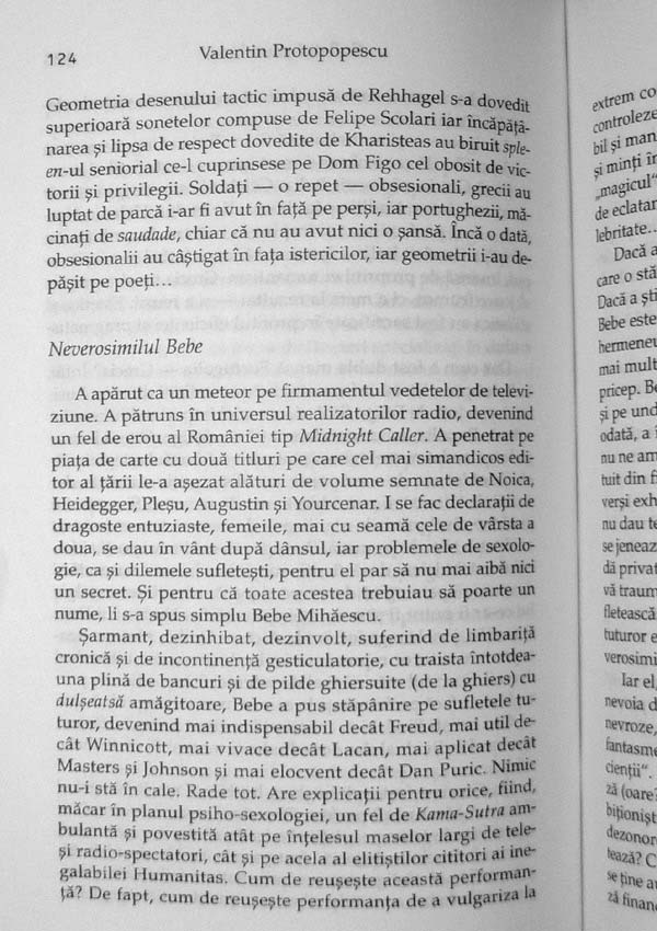 Sufletul si umbra. Noi texte de psihanaliza culturala - Valentin Protopopescu