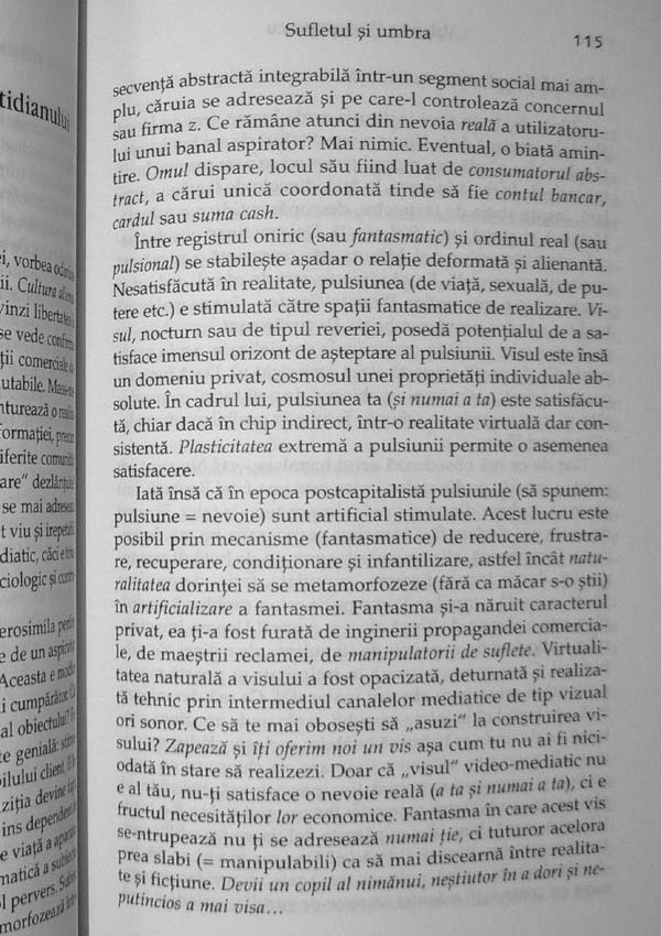 Sufletul si umbra. Noi texte de psihanaliza culturala - Valentin Protopopescu