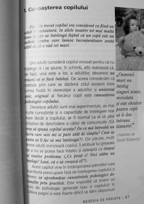 Meseria de parinte - Ioan Dolean