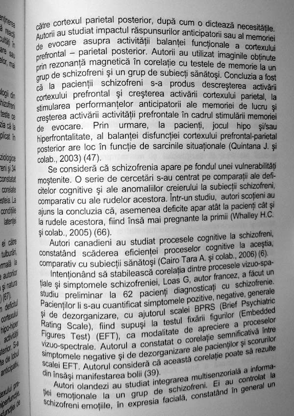 Schizofrenia. Teorii si cercetari etiologice recente - Rodica Jeican