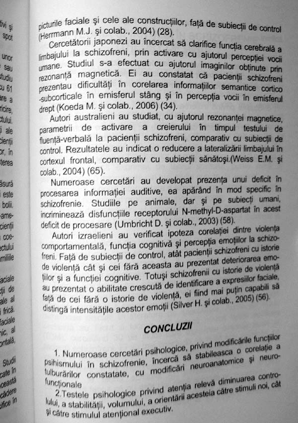 Schizofrenia. Teorii si cercetari etiologice recente - Rodica Jeican