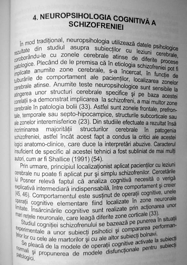 Schizofrenia. Teorii si cercetari etiologice recente - Rodica Jeican