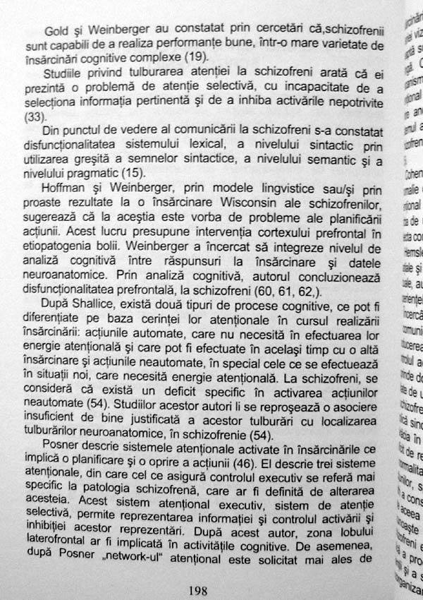 Schizofrenia. Teorii si cercetari etiologice recente - Rodica Jeican