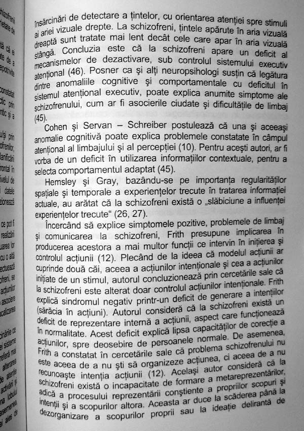 Schizofrenia. Teorii si cercetari etiologice recente - Rodica Jeican