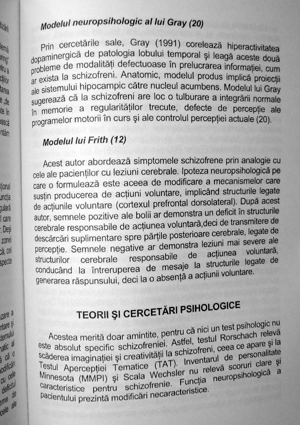 Schizofrenia. Teorii si cercetari etiologice recente - Rodica Jeican