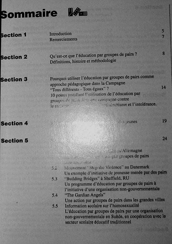 Domino. Un manuel sur l'emploi de l'education par groupes de pairs en tant que moyen de lutte contre le racisme, la xenophobie, l'antisemitisme et l'intolerance - Autori multipli 