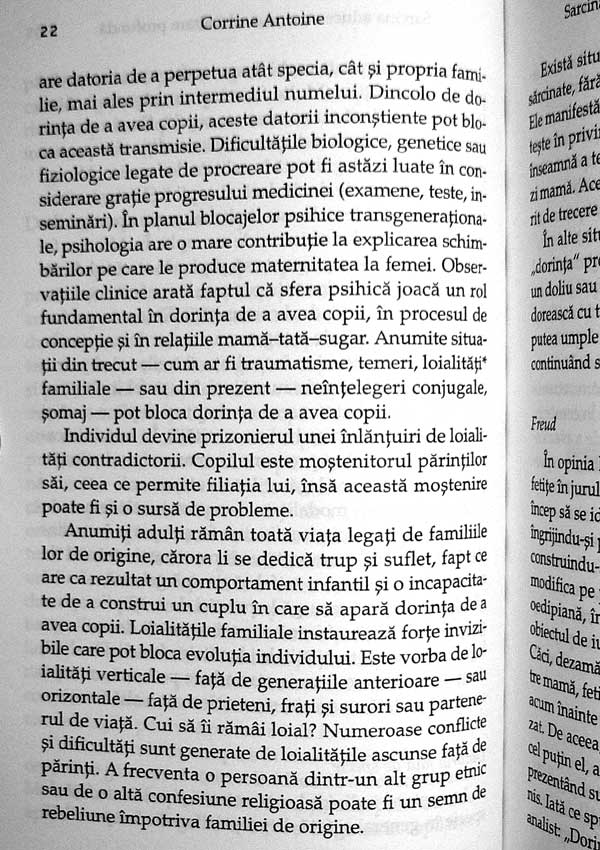 Ghid psihologic pentru sarcina si maternitate - Corrine Antoine