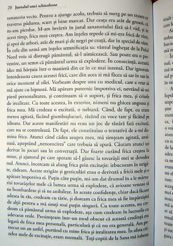 Jurnalul unei schizofrene - Marguerite A. Sechehaye