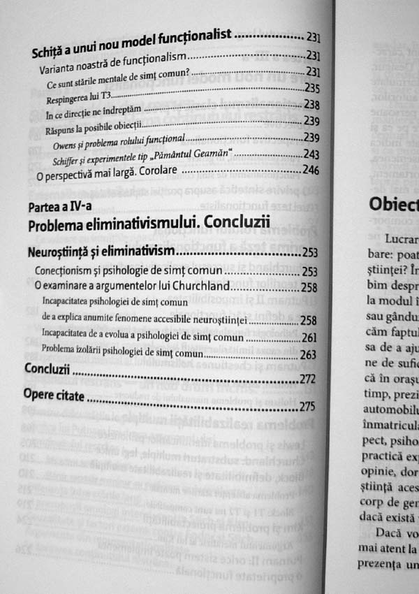 Mintea familiara - Bogdan Boghitoi