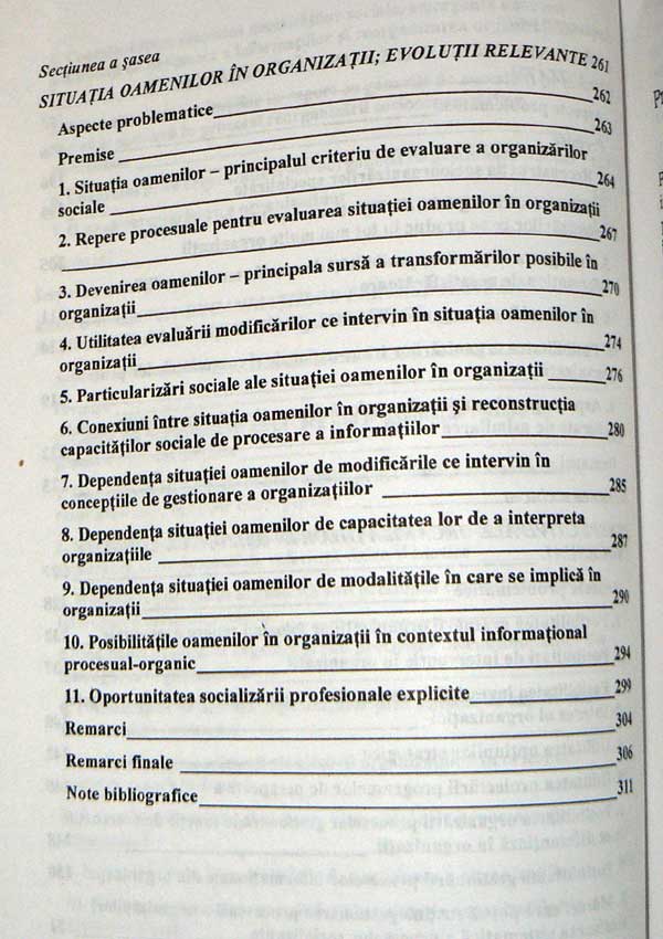 Organizatiile - Lucian Culda
