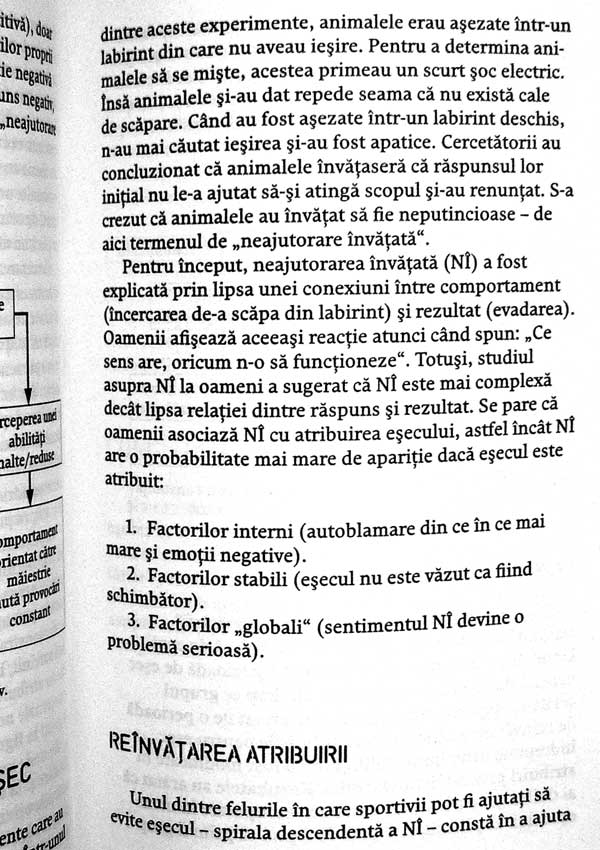 Psihologia sportului. Ghid pentru optimizarea performantelor - Stephen J. Bull