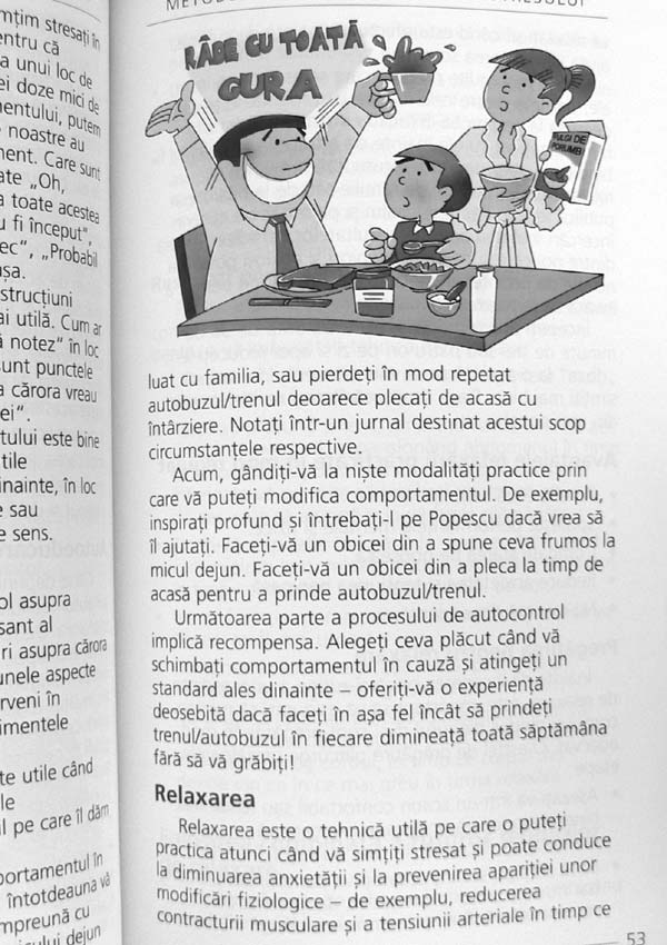 Sa intelegem stresul - Greg Wilkinson