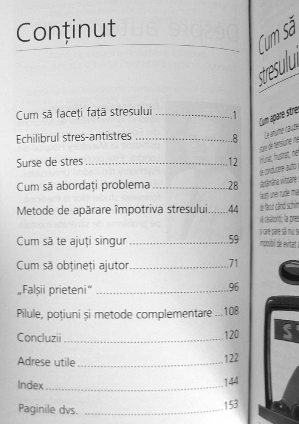 Sa intelegem stresul - Greg Wilkinson
