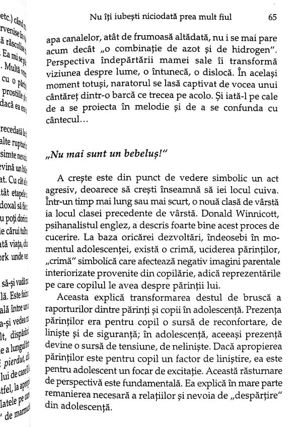 Cum sa fii o mama buna pentru fiul tau - Alain Braconnier