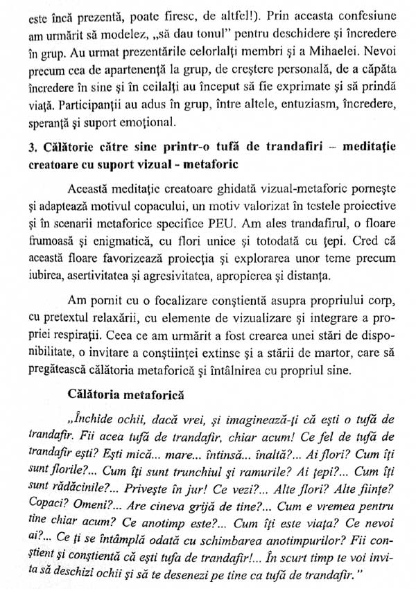 Metafora, autotransformare si dezvoltare personala in grup. O abordare experiential-unificatoare - Razvan Sebastian Stan
