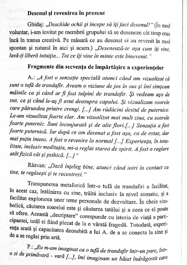 Metafora, autotransformare si dezvoltare personala in grup. O abordare experiential-unificatoare - Razvan Sebastian Stan