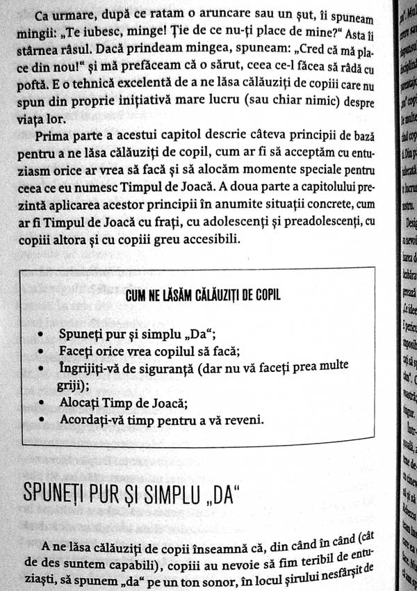 Retete de jocuri. De ce si cum sa te joci cu copilul tau - Lawrence J. Cohen