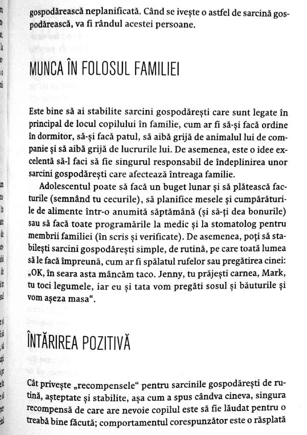 Cum sa fii parinte bun pentru adolescenti - Michael Hammond