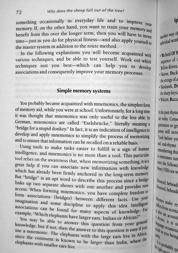 A Sheep Falls out of the Tree. How anyone can develop a fantastic memory - Christiane Stenger